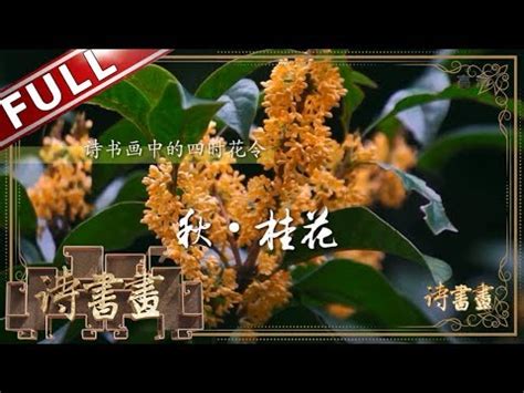 桂花象徵意義|花語與文化意涵：桂花的獨特魅力與象徵意義